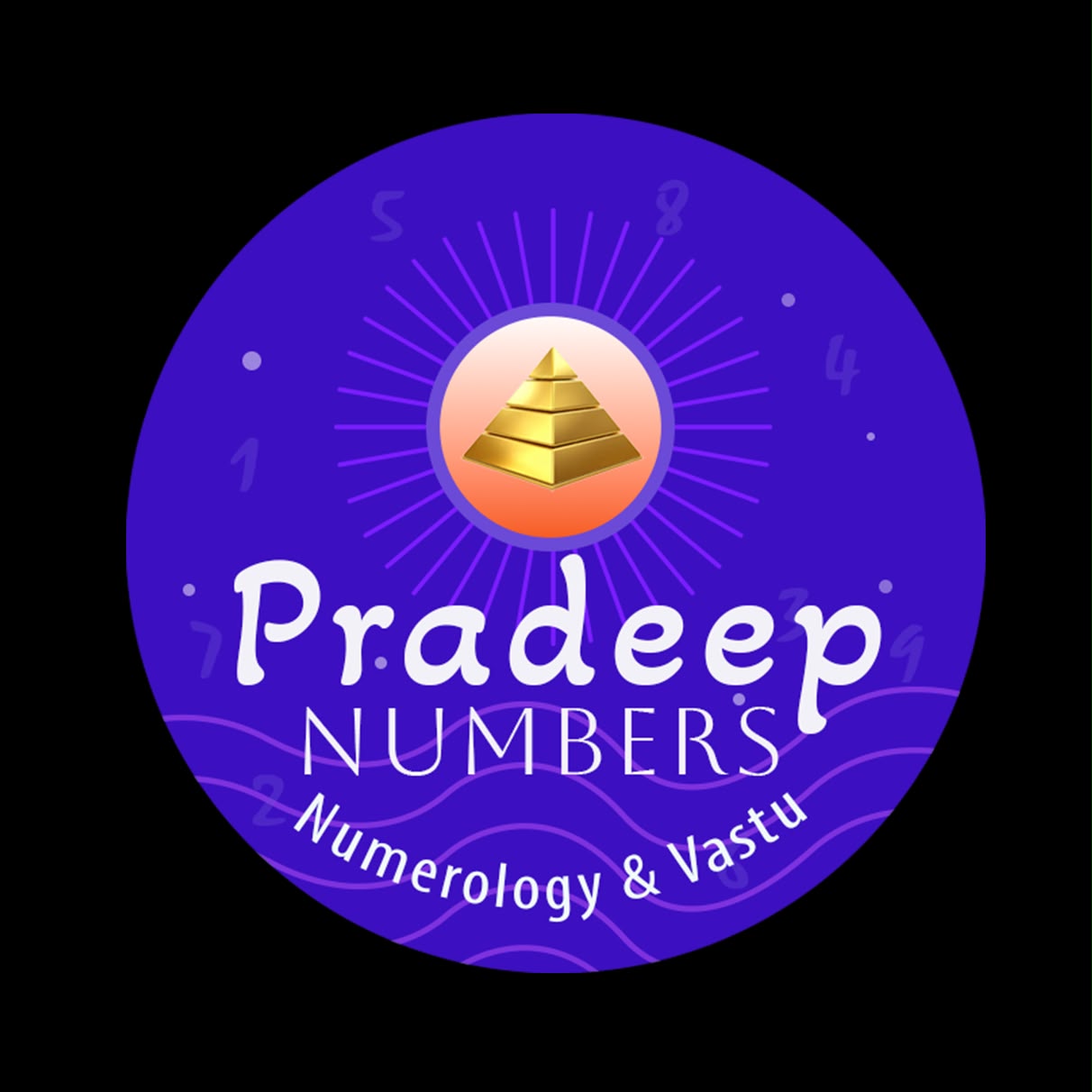 Pradeep Numbers logo